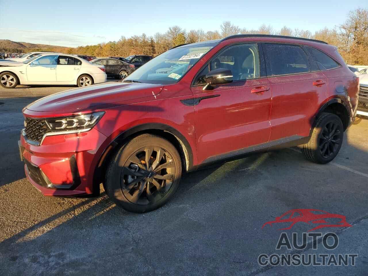 KIA SORENTO 2023 - 5XYRKDLF8PG231242