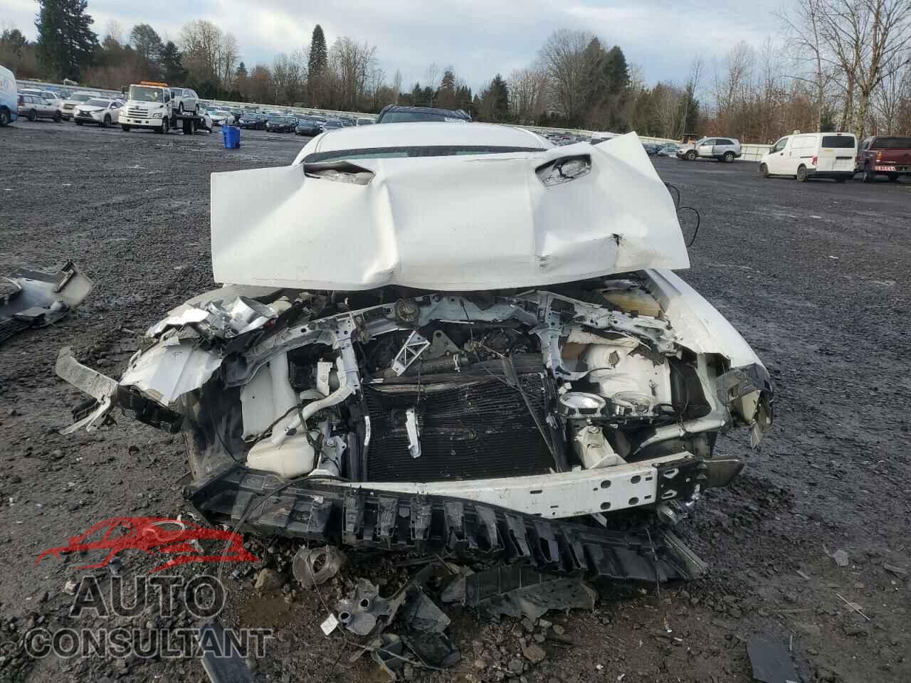 DODGE CHALLENGER 2019 - 2C3CDZAG5KH525494