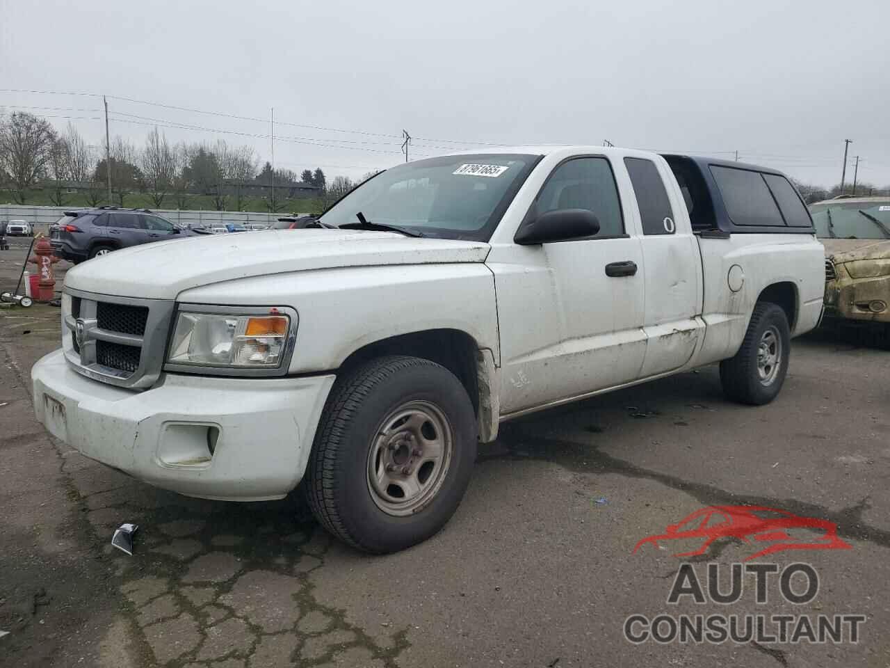 DODGE DAKOTA 2011 - 1D7RE2BK5BS586551