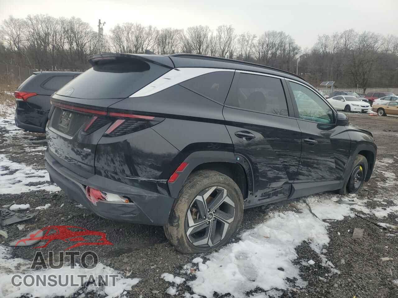 HYUNDAI TUCSON 2023 - 5NMJFCAE4PH261608