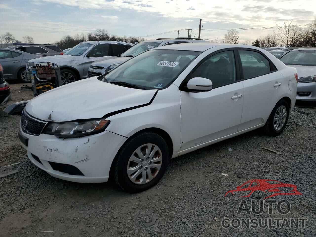 KIA FORTE 2011 - KNAFU4A21B5445405