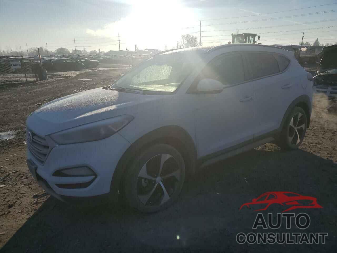 HYUNDAI TUCSON 2017 - KM8J3CA20HU513567