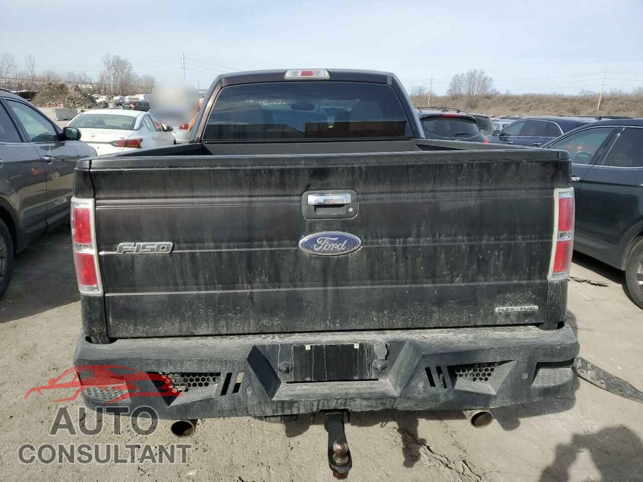 FORD F-150 2013 - 1FTFX1EF2DFB35444