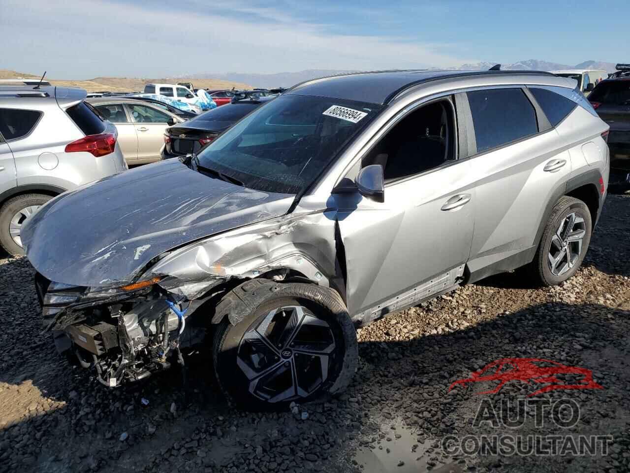 HYUNDAI TUCSON 2023 - KM8JBDA20PU124743