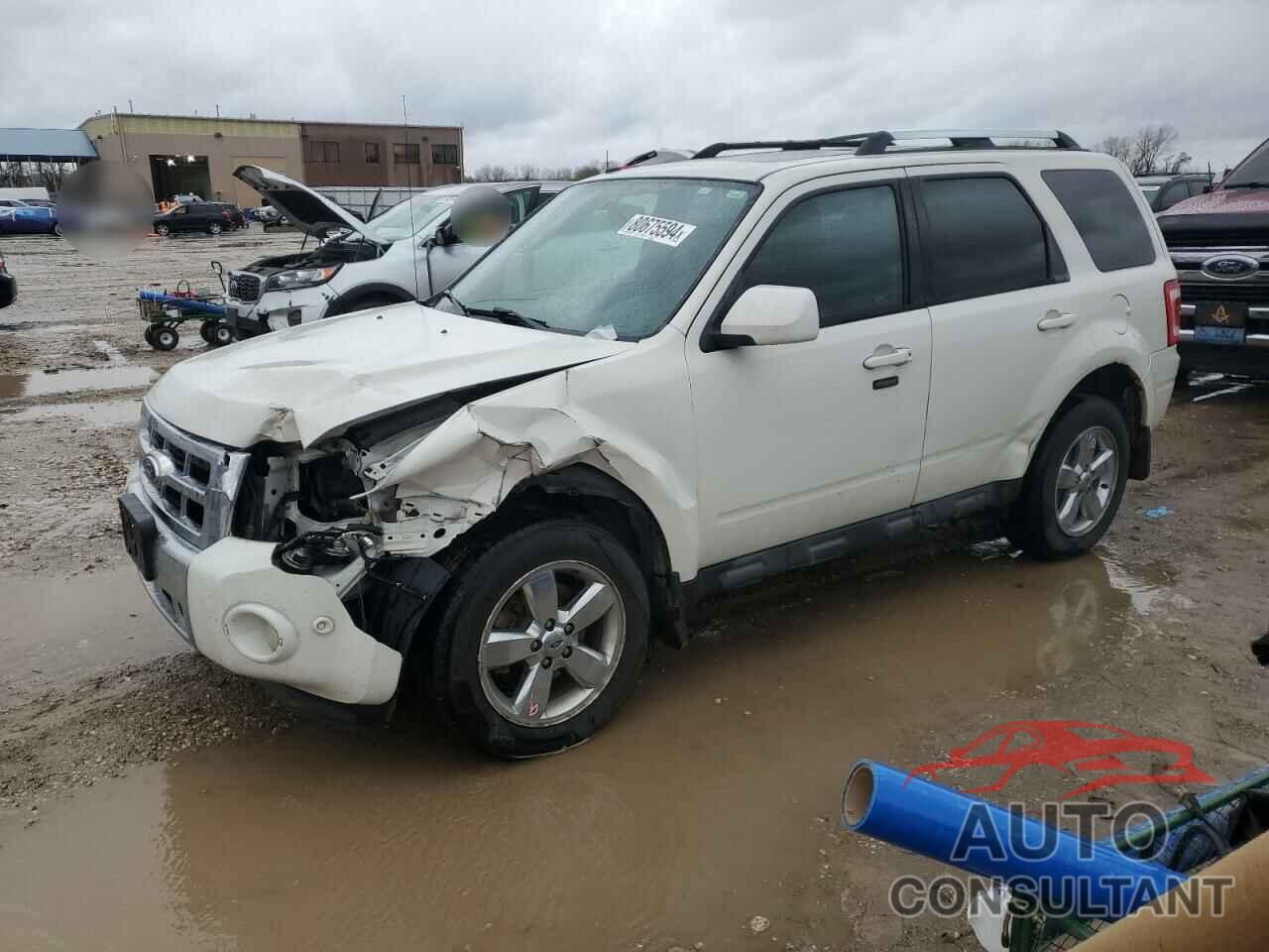FORD ESCAPE 2011 - 1FMCU9EG2BKC63265