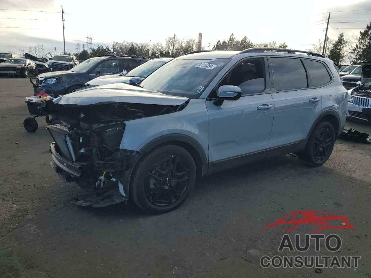 KIA TELLURIDE 2024 - 5XYP5DGC2RG454412