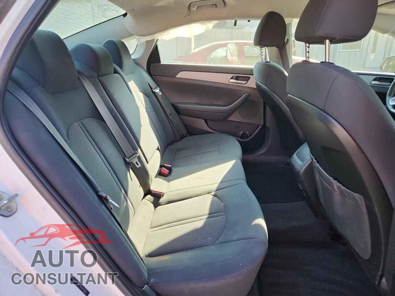 HYUNDAI SONATA 2019 - 5NPE24AF7KH743545