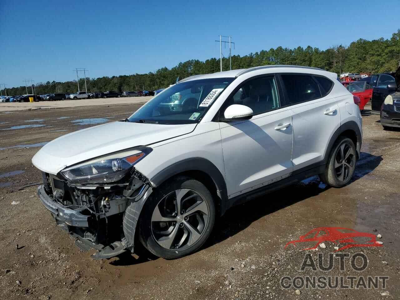 HYUNDAI TUCSON 2016 - KM8J33A28GU114890