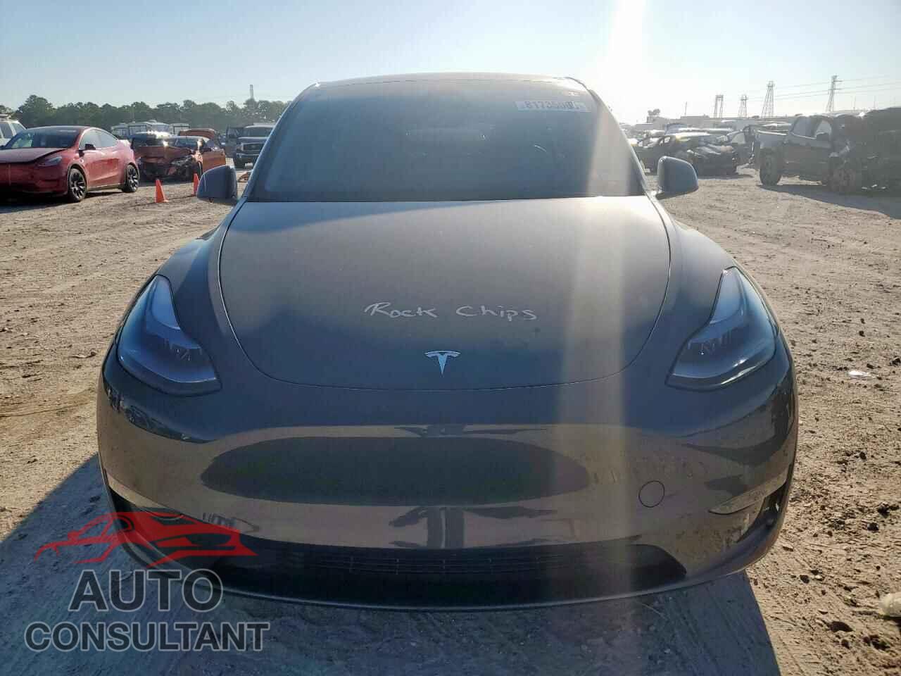TESLA MODEL Y 2024 - 7SAYGDEE6RA242560