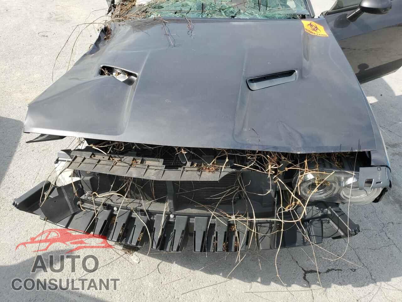 DODGE CHALLENGER 2017 - 2C3CDZAG5HH659463