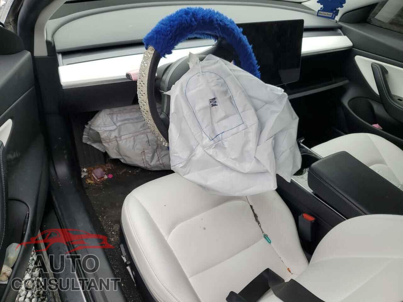 TESLA MODEL 3 2019 - 5YJ3E1EA4KF531034