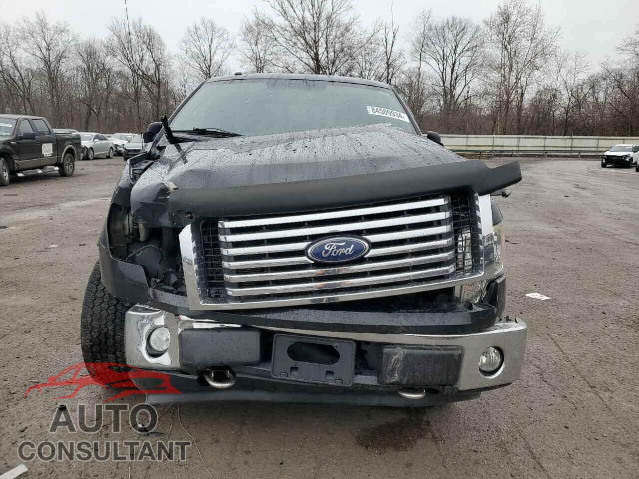 FORD F-150 2011 - 1FTFX1EF2BFA36605