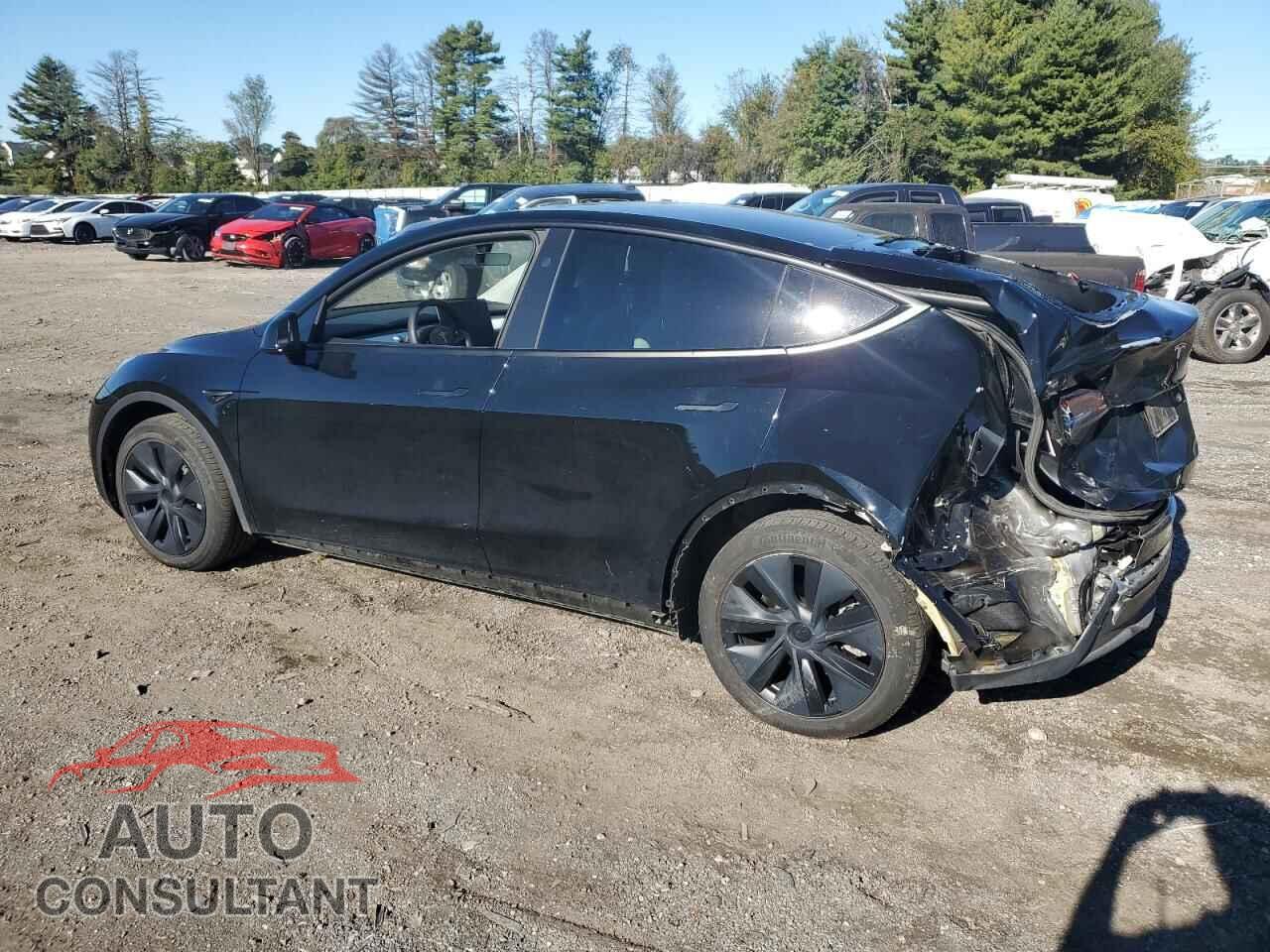 TESLA MODEL Y 2024 - 7SAYGDEE6RF149735