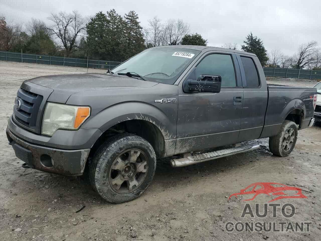 FORD F-150 2010 - 1FTEX1EW0AFB29035