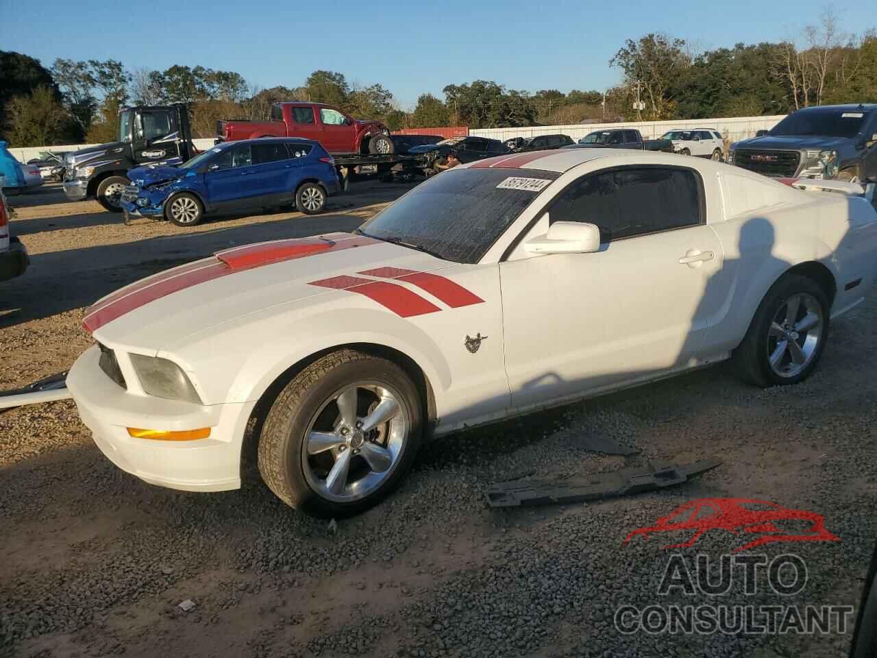 FORD MUSTANG 2009 - 1ZVHT82H495116889
