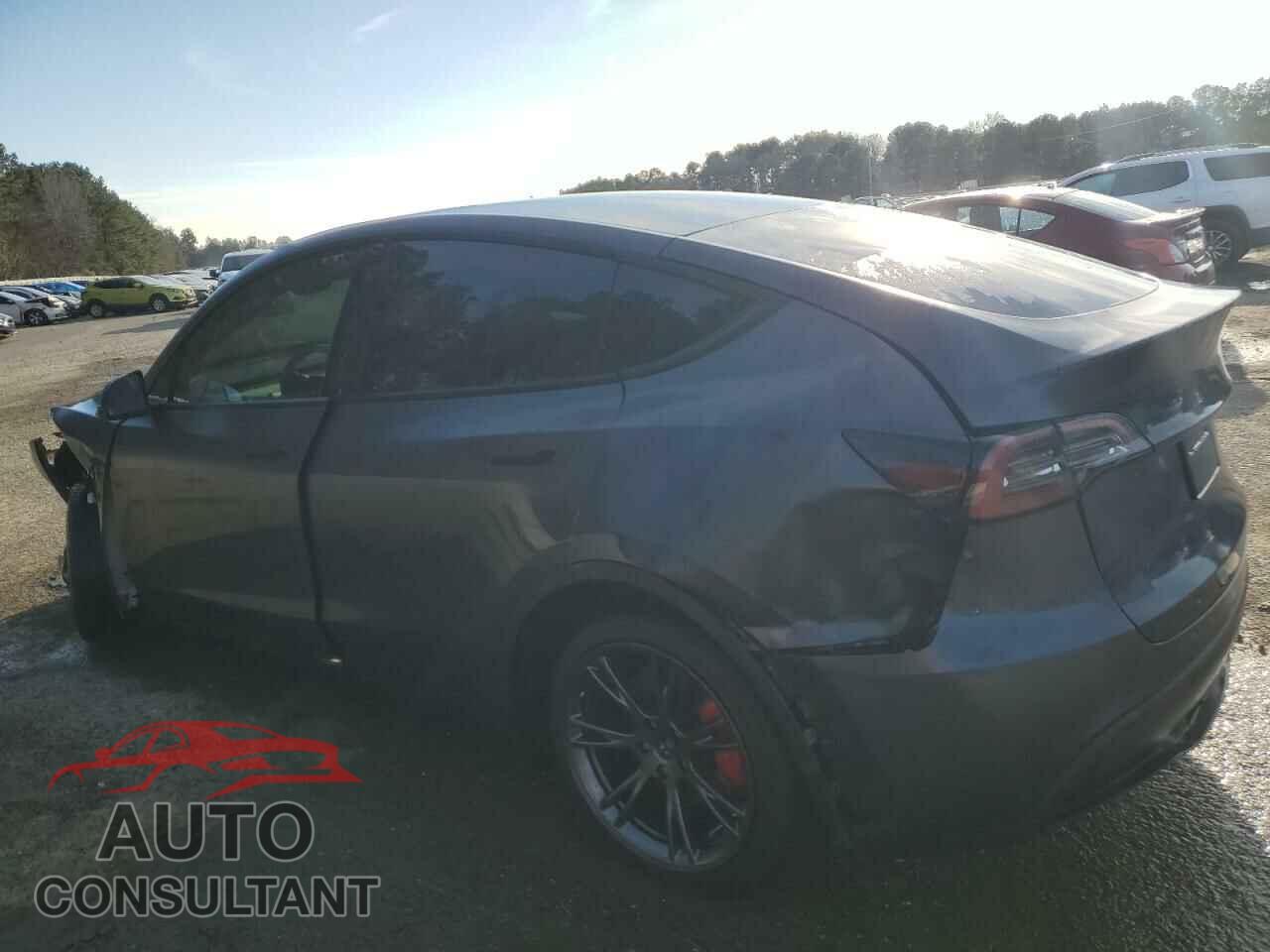 TESLA MODEL Y 2022 - 7SAYGDEF8NF513530