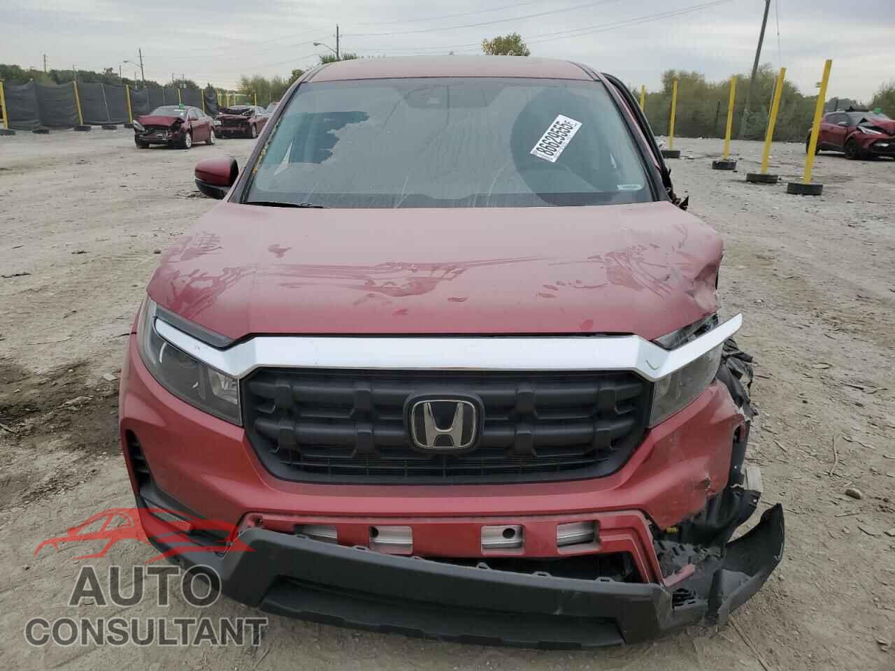 HONDA RIDGELINE 2024 - 5FPYK3F58RB018625