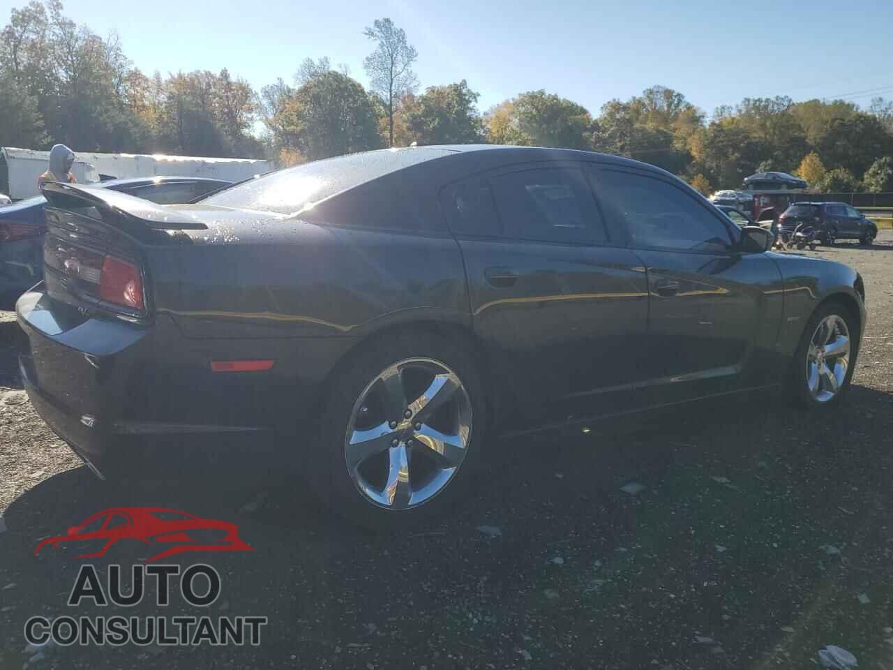 DODGE CHARGER 2014 - 2C3CDXCT6EH333617
