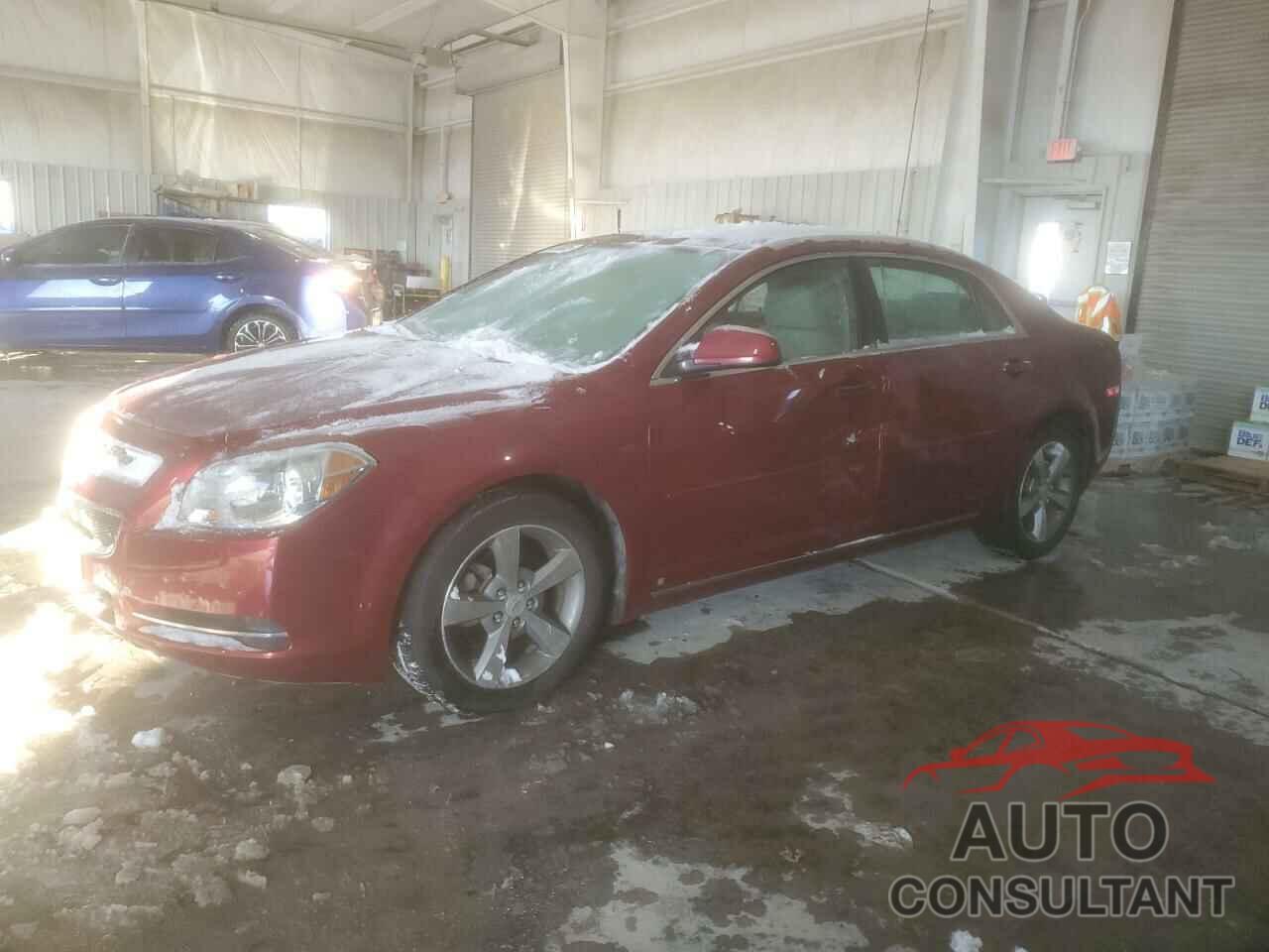 CHEVROLET MALIBU 2009 - 1G1ZJ57B89F221468