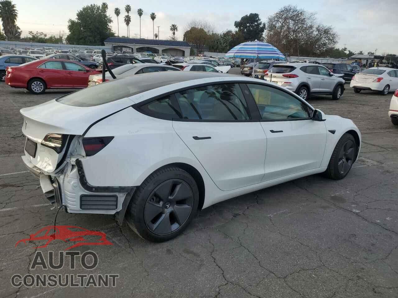 TESLA MODEL 3 2021 - 5YJ3E1EA6MF053119
