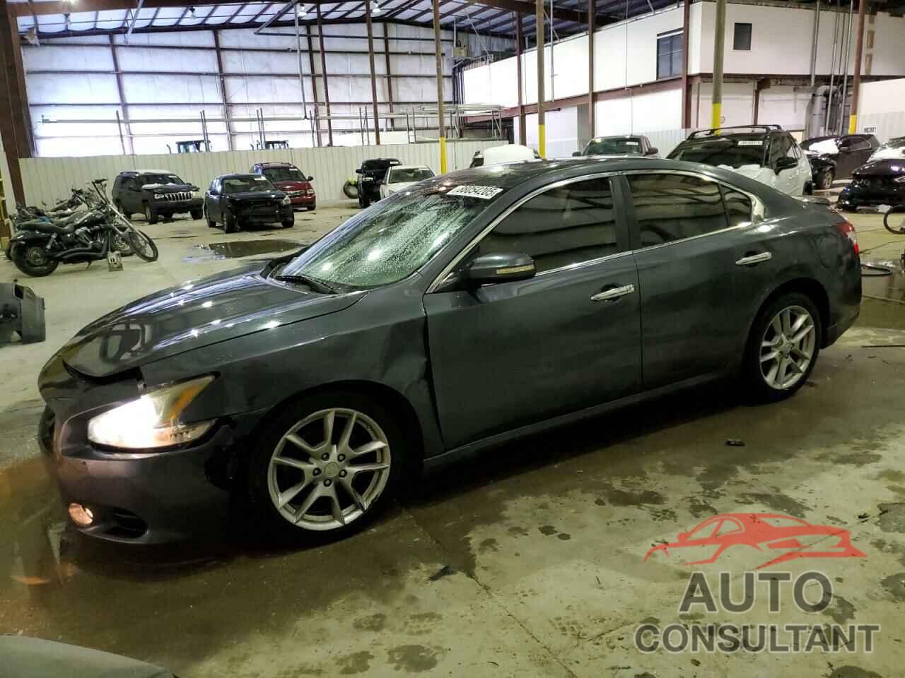 NISSAN MAXIMA 2009 - 1N4AA51E49C809835