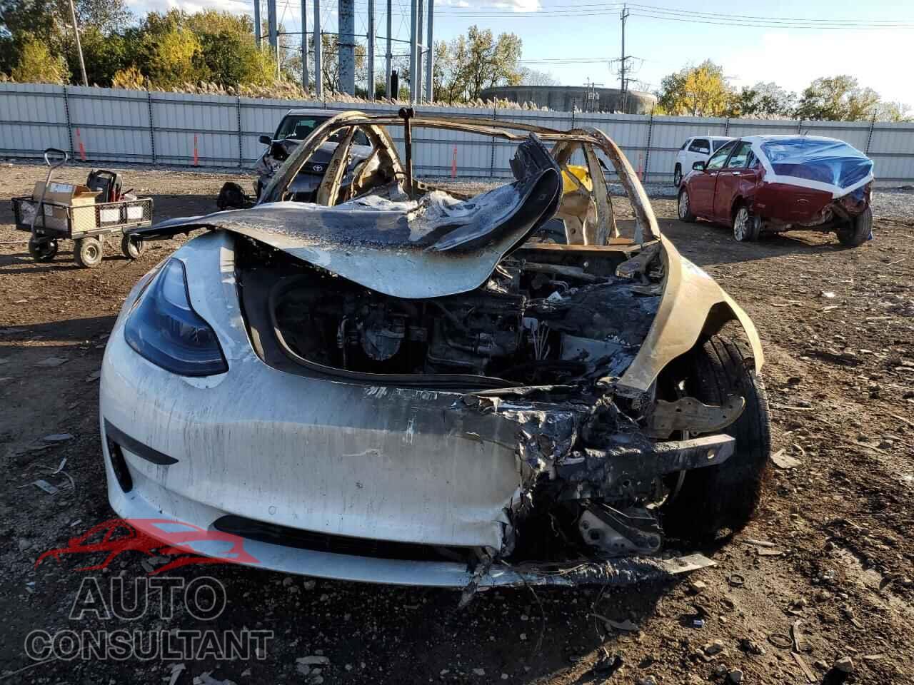 TESLA MODEL 3 2019 - 5YJ3E1EA5KF483902