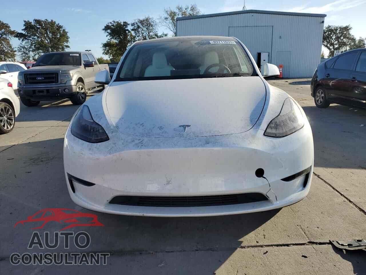 TESLA MODEL Y 2024 - 7SAYGDED9RF105106