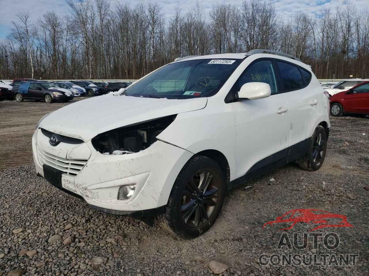 HYUNDAI TUCSON 2015 - KM8JUCAG8FU113973