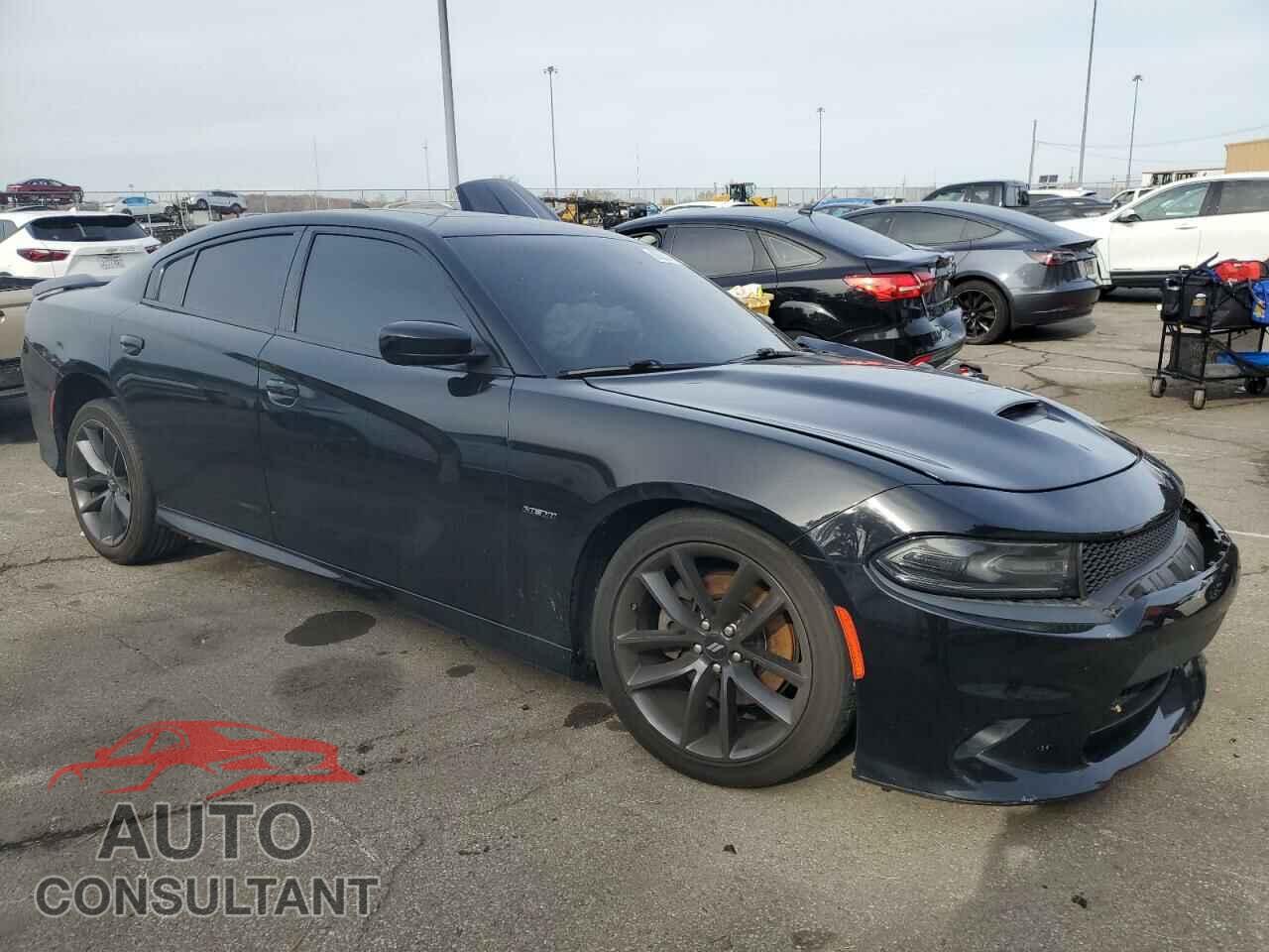 DODGE CHARGER 2019 - 2C3CDXCTXKH607459