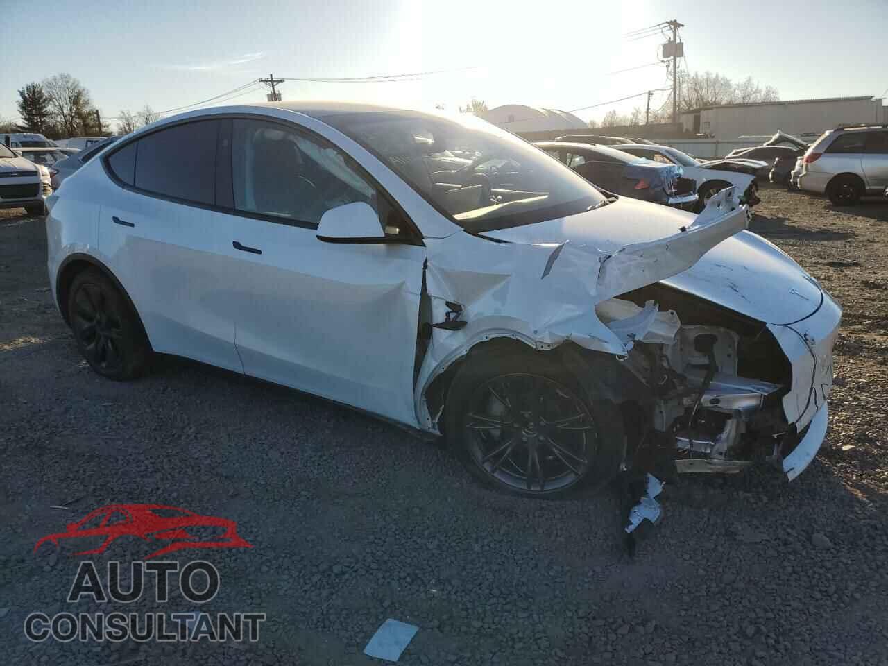 TESLA MODEL Y 2024 - 7SAYGDEE4RA304716