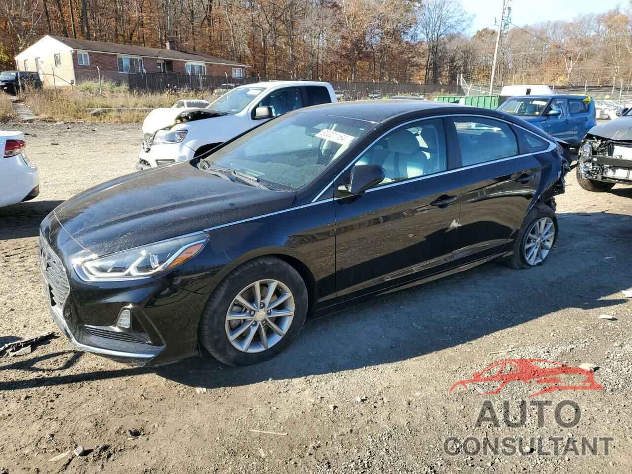 HYUNDAI SONATA 2019 - 5NPE24AF4KH819626