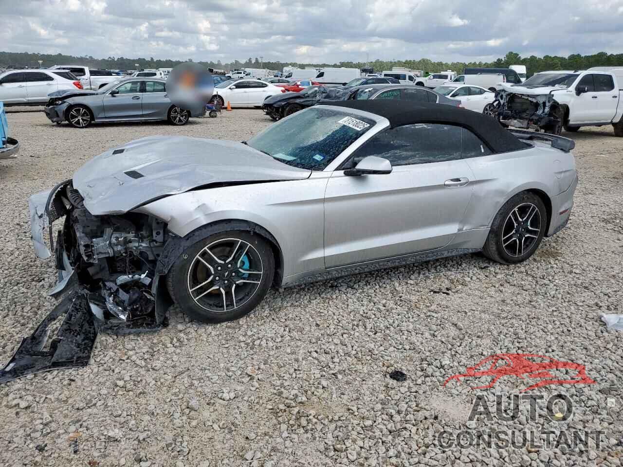 FORD ALL Models 2019 - 1FATP8UH5K5170017