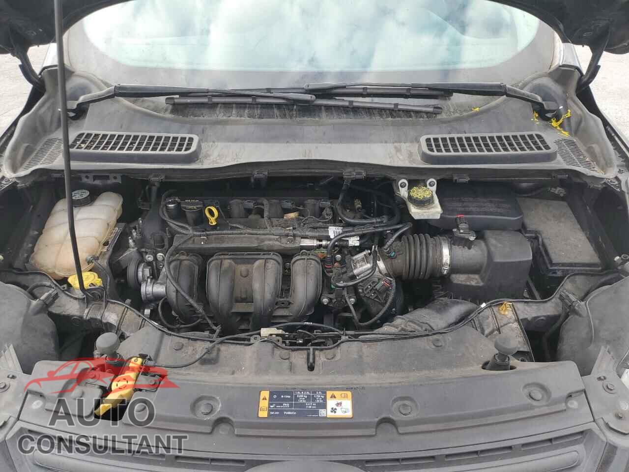 FORD ESCAPE 2013 - 1FMCU0F78DUC24584