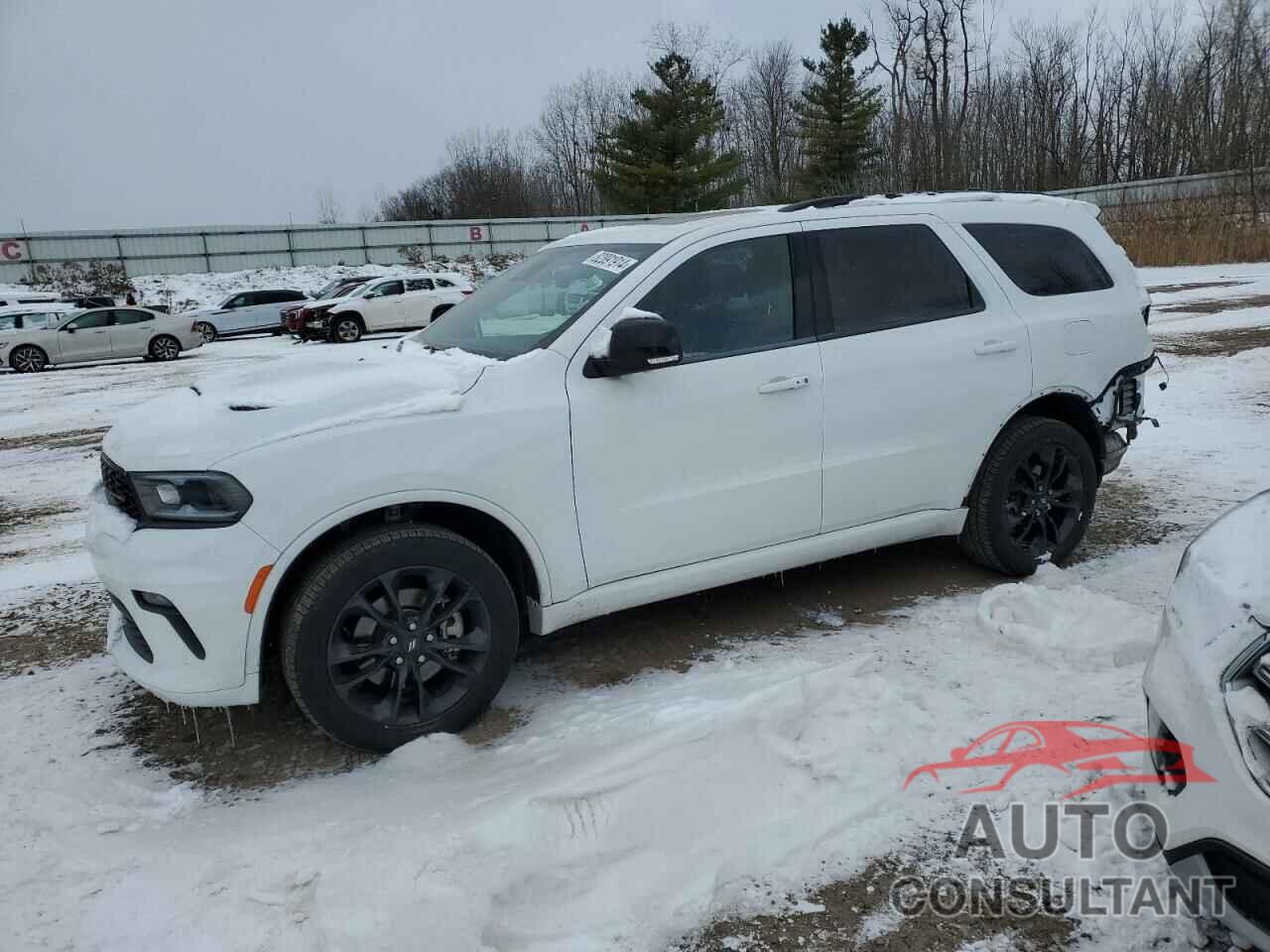 DODGE DURANGO 2023 - 1C4RDJDG1PC613973