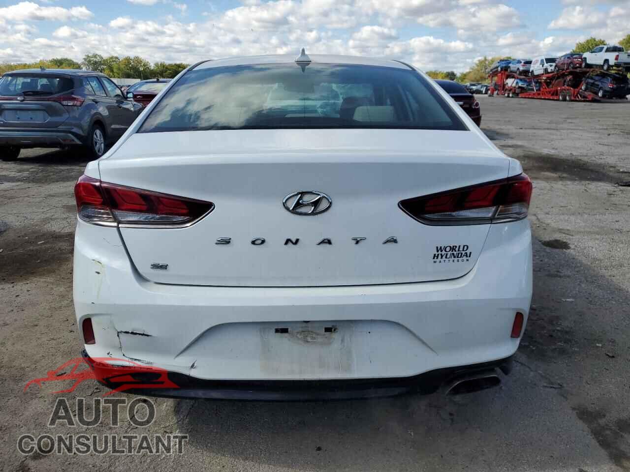 HYUNDAI SONATA 2019 - 5NPE24AF5KH763986