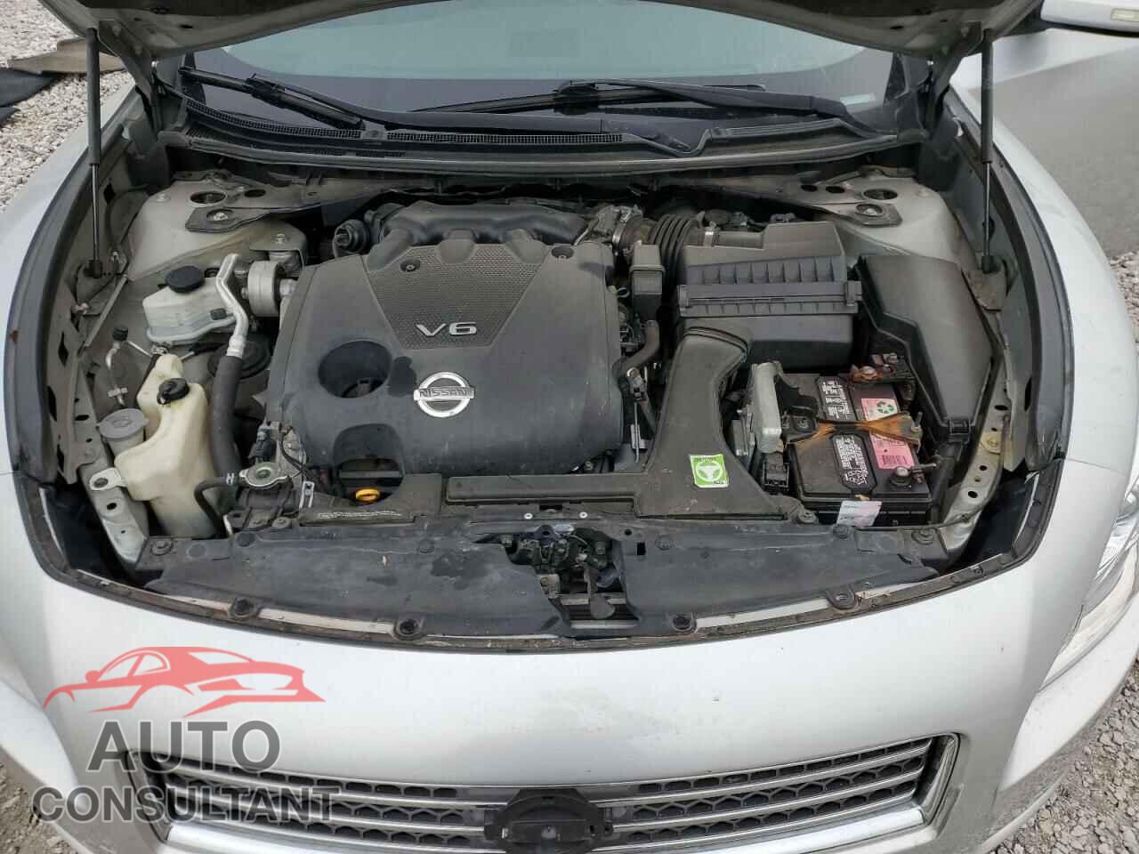 NISSAN MAXIMA 2010 - 1N4AA5AP2AC831760