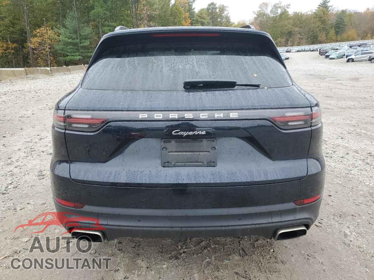PORSCHE CAYENNE 2019 - WP1AA2AY9KDA17102