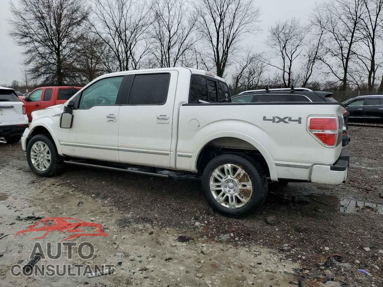 FORD F-150 2010 - 1FTFW1EV5AFA40785