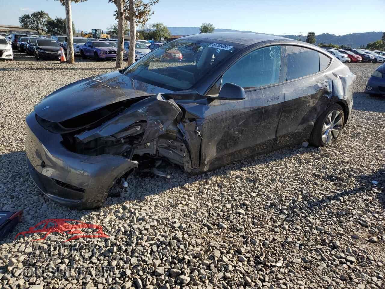 TESLA MODEL Y 2024 - 7SAYGDEE8RF995901