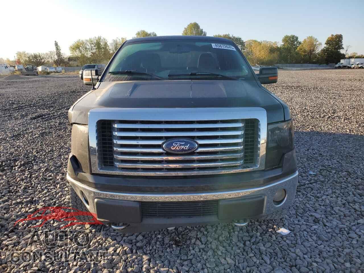 FORD F-150 2010 - 1FTFX1EV5AFC47772