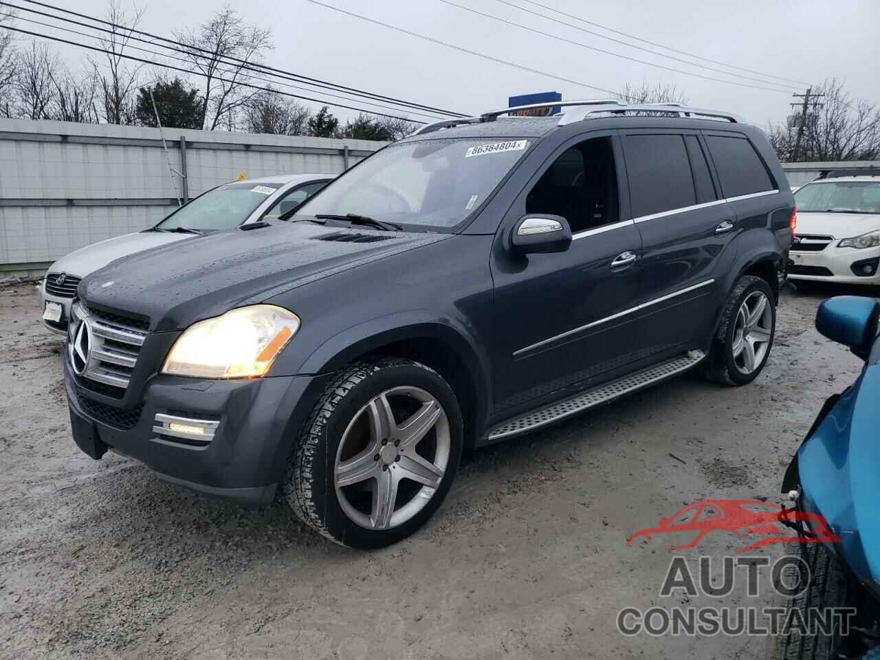 MERCEDES-BENZ GL-CLASS 2010 - 4JGBF8GE2AA538519