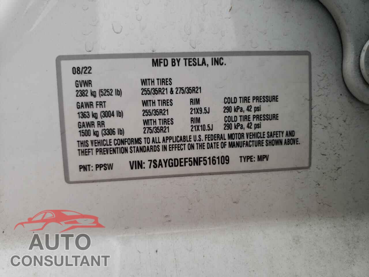 TESLA MODEL Y 2022 - 7SAYGDEF5NF516109