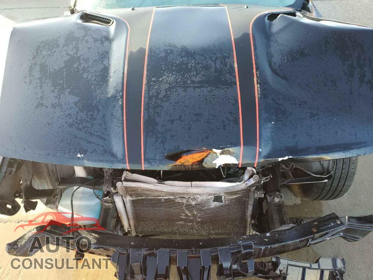 DODGE CHALLENGER 2013 - 2C3CDYBTXDH616253