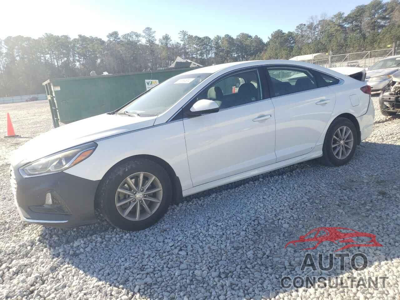 HYUNDAI SONATA 2019 - 5NPE24AF3KH734700