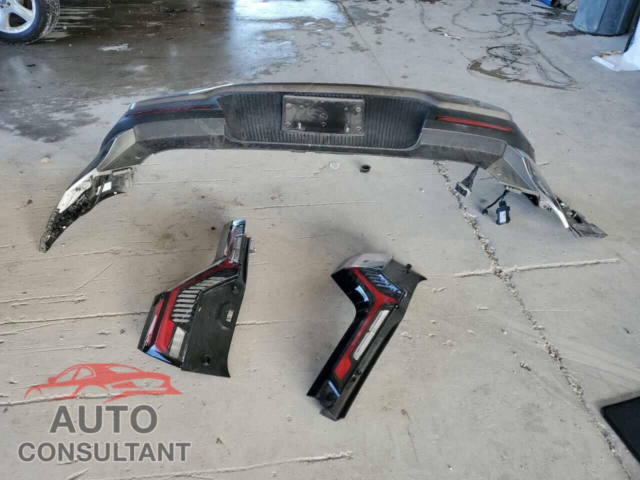 KIA EV9 LIGHT 2024 - KNDAB5S18R6020721