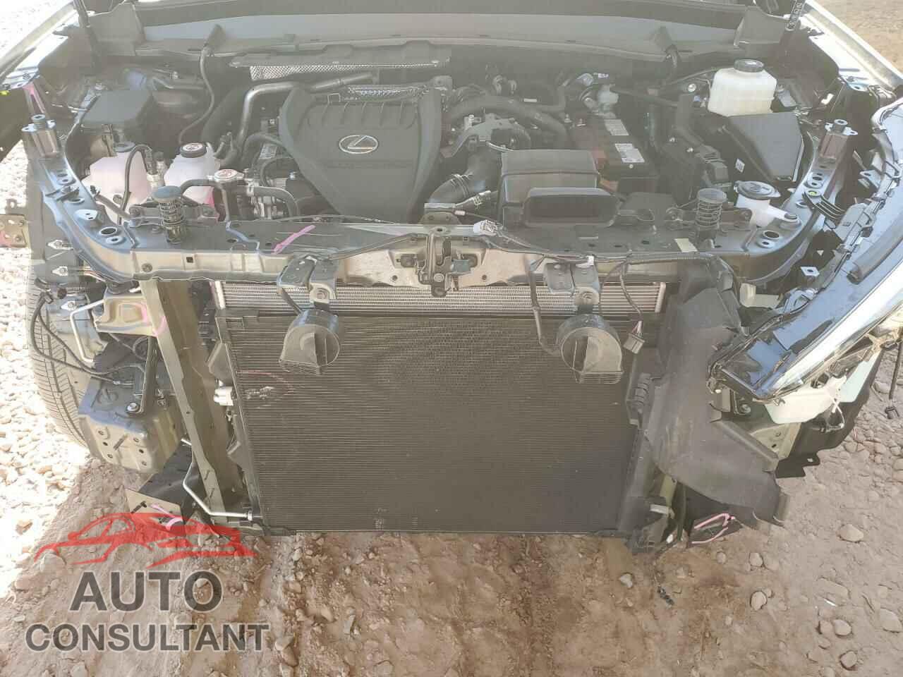 LEXUS TX 350 BAS 2024 - 5TDAAAA65RS009653