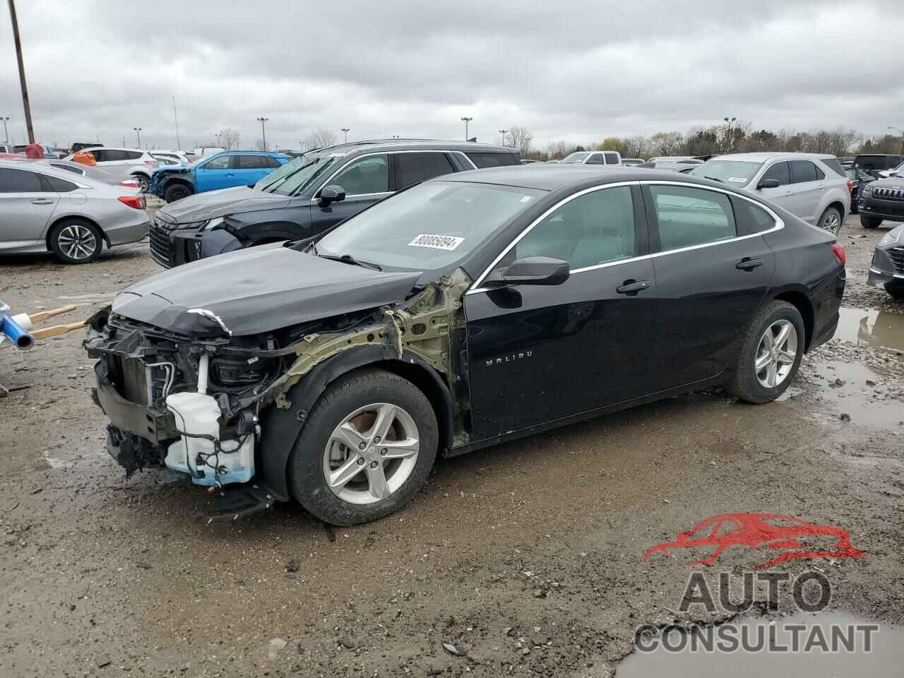 CHEVROLET MALIBU 2021 - 1G1ZB5ST1MF047569
