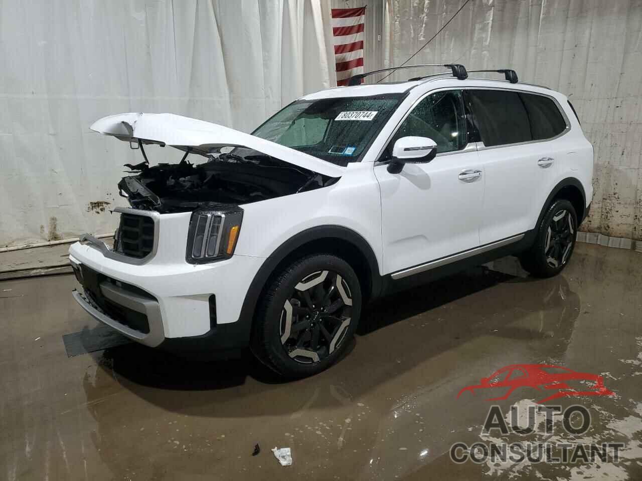 KIA TELLURIDE 2024 - 5XYP6DGC6RG558513