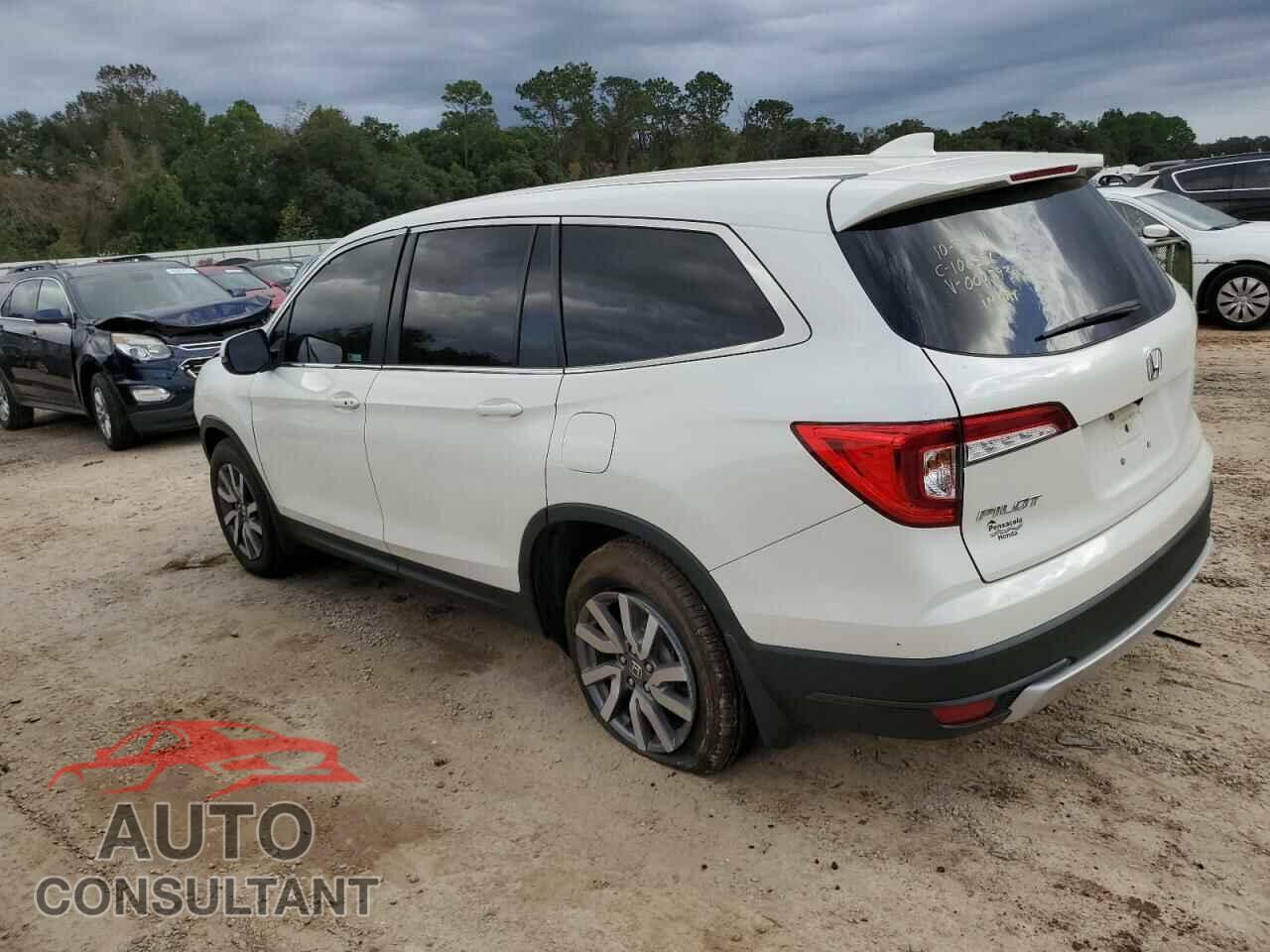HONDA PILOT 2019 - 5FNYF5H43KB007793