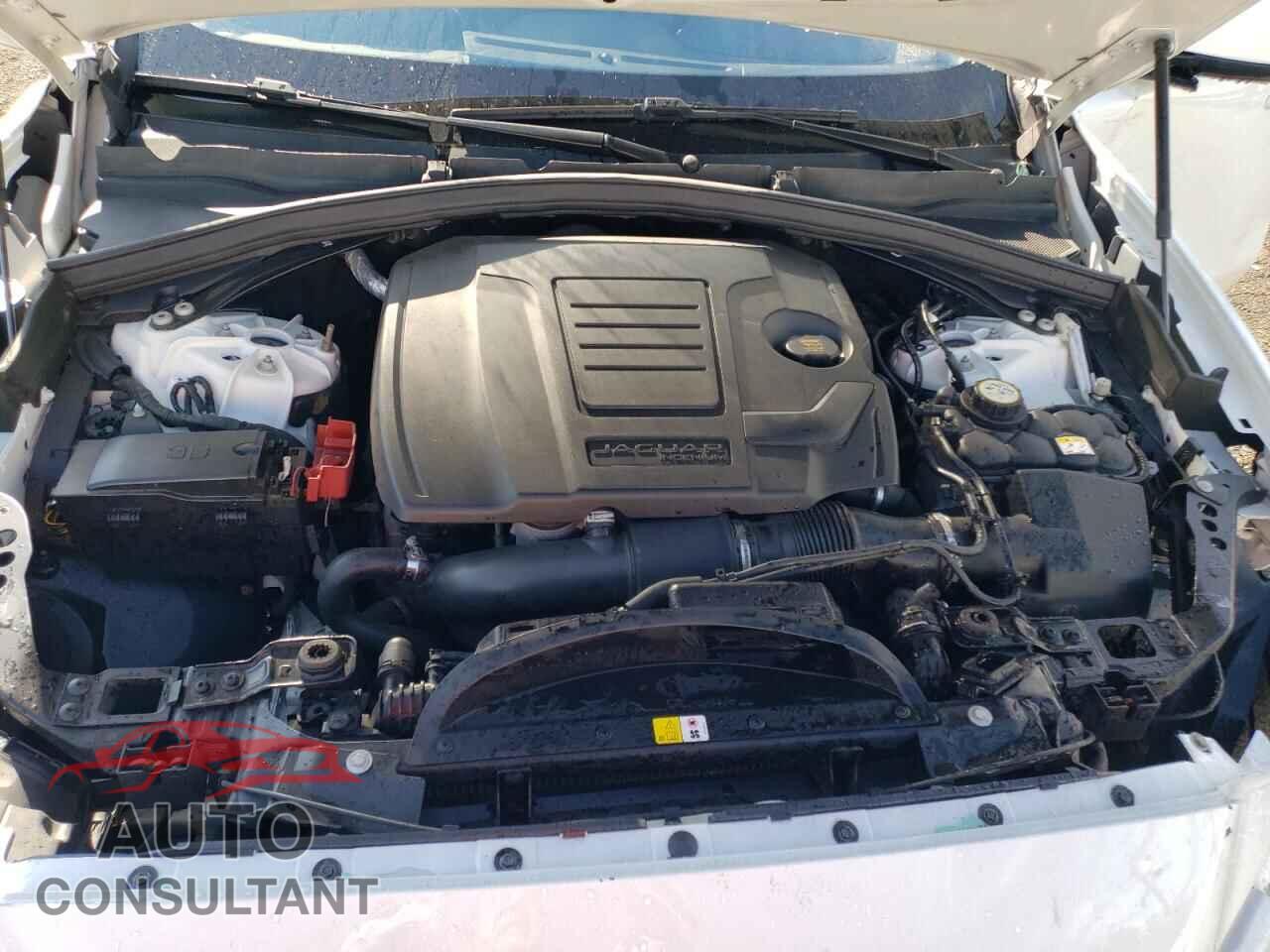 JAGUAR F-PACE 2019 - SADCK2FX7KA353473